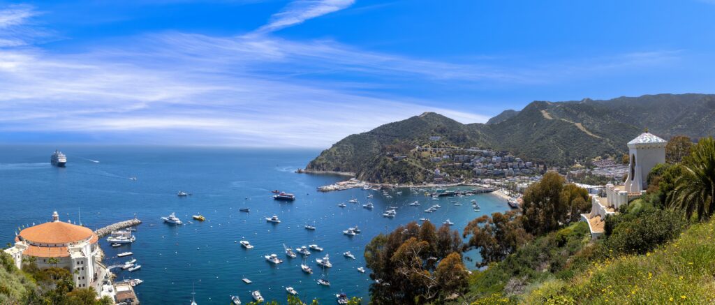 Catalina