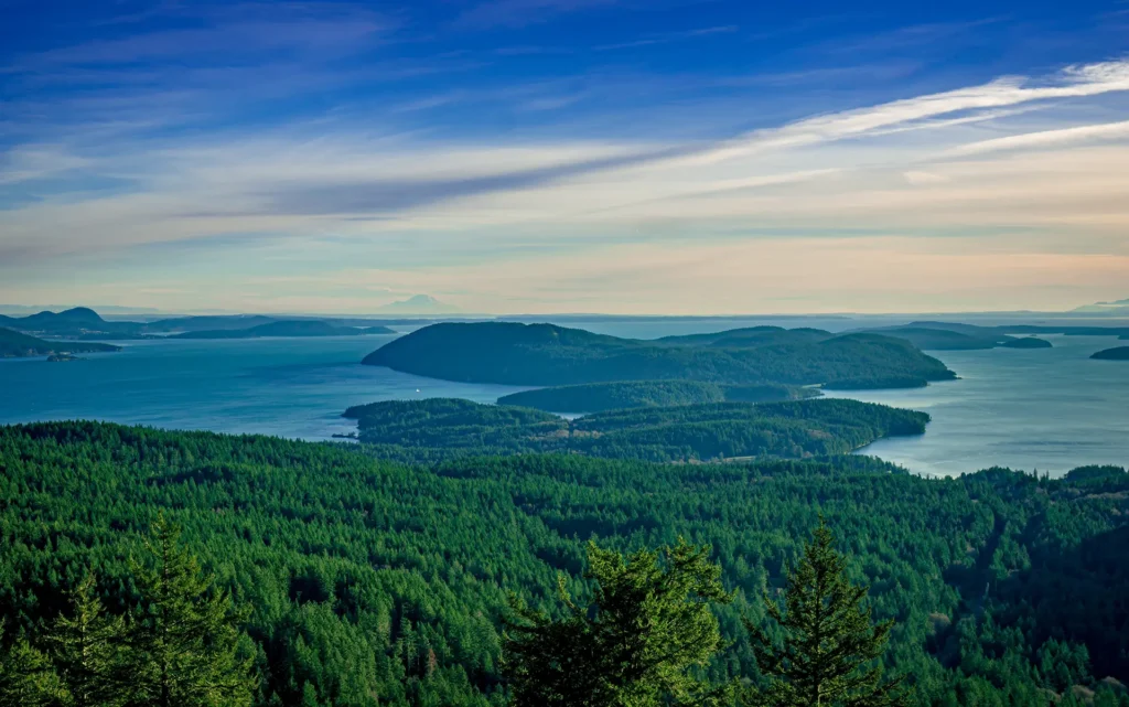 a scenic view of the ocean with an island and shoreline covered in trees